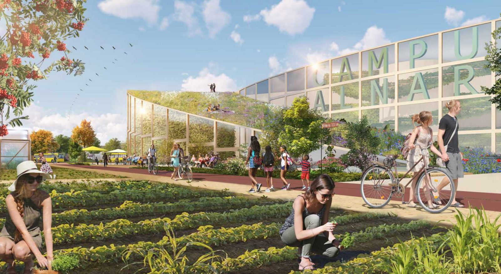 Urban farming, Concept for sustainability, biodiversity and recreation